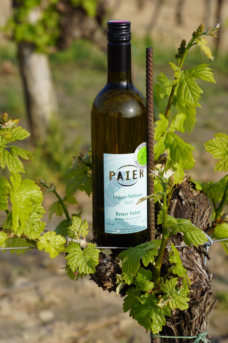 Paier Grüner Veltliner 2018